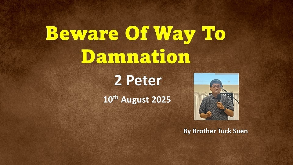 New Testament survey 